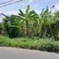  Terreno (Parcela) en venta en Kalasan, Yogyakarta, Kalasan, Sleman