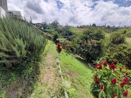 4 Habitación Casa en venta en Filandia, Quindio, Filandia