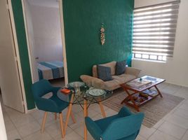 2 Habitación Apartamento en alquiler en Quintana Roo, Cozumel, Quintana Roo