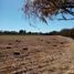  Land for sale in Cuauhtemoc, Chihuahua, Cuauhtemoc