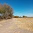  Land for sale in Cuauhtemoc, Chihuahua, Cuauhtemoc