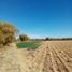  Land for sale in Cuauhtemoc, Chihuahua, Cuauhtemoc