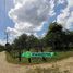  Land for sale in Comalcalco, Tabasco, Comalcalco