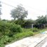 Land for sale in Ha Lam, Quang Nam, Ha Lam