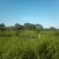  Terreno (Parcela) en venta en La Antigua, Veracruz, La Antigua