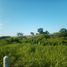  Terreno (Parcela) en venta en La Antigua, Veracruz, La Antigua