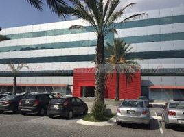 795 m² Office for rent in Monterrey, Nuevo Leon, Monterrey