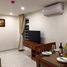 1 Bedroom Apartment for rent in Ward 2, Tan Binh, Ward 2