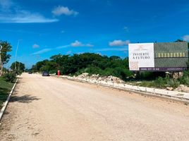  Grundstück zu verkaufen in Conkal, Yucatan, Conkal