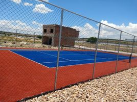  Land for sale in Apaseo El Grande, Guanajuato, Apaseo El Grande