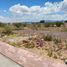  Land for sale in Apaseo El Grande, Guanajuato, Apaseo El Grande