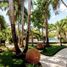 6 chambre Villa for sale in Cozumel, Quintana Roo, Cozumel