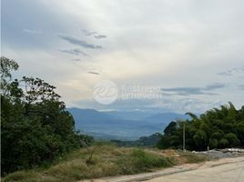  Terreno (Parcela) en venta en Manizales, Caldas, Manizales