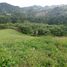 Terrain à vendre à Rionegro, Antioquia, Rionegro, Antioquia