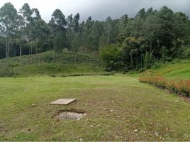 Terrain à vendre à Rionegro, Antioquia, Rionegro, Antioquia