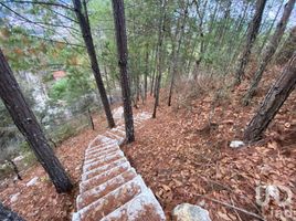  Land for sale in San Cristobal De Las Casas, Chiapas, San Cristobal De Las Casas, Chiapas