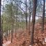  Land for sale in San Cristobal De Las Casas, Chiapas, San Cristobal De Las Casas, Chiapas