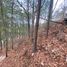  Land for sale in San Cristobal De Las Casas, Chiapas, San Cristobal De Las Casas, Chiapas