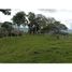  Land for sale in Yolombo, Antioquia, Yolombo