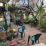  Land for sale in Miguel Hidalgo, Mexico City, Miguel Hidalgo, Mexico City