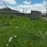  Land for sale in San Mateo Atenco, Mexico, San Mateo Atenco