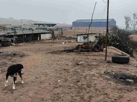  Land for sale in Puente Piedra, Lima, Puente Piedra, Lima, Lima