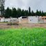  Terreno (Parcela) en venta en Ricaurte, Cuenca, Ricaurte