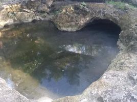  Terreno (Parcela) en venta en Puerto Morelos, Quintana Roo, Puerto Morelos, Quintana Roo