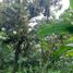  Land for sale in San Lorenzo, Manabi, San Lorenzo, Manta