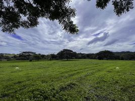  Land for sale in Laguna, Calabarzon, Santa Rosa City, Laguna