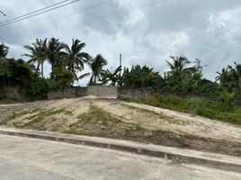  Land for sale in Talisay City, Cebu, Talisay City