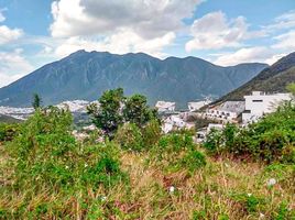  Grundstück zu verkaufen in Monterrey, Nuevo Leon, Monterrey