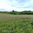  Land for sale in Cebu Central Visayas, San Remigio