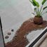 2 Bedroom House for sale in Boca Del Rio, Veracruz, Boca Del Rio