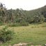  Land for sale in Argao, Cebu, Argao