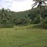  Land for sale in Argao, Cebu, Argao