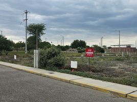  Terreno (Parcela) en venta en Castilla, Piura, Castilla, Piura, Piura