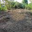  Land for sale in Surabaya East Jawa, Lakarsantri, Surabaya, East Jawa