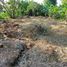  Land for sale in Surabaya East Jawa, Lakarsantri, Surabaya, East Jawa