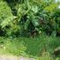  Land for sale in Surabaya East Jawa, Lakarsantri, Surabaya, East Jawa