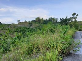  Terreno (Parcela) en venta en Consolacion, Central Visayas, Consolacion, Cebu