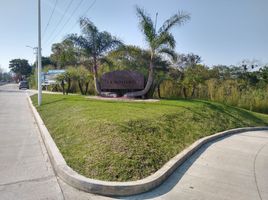 在Coatepec, Veracruz出售的 土地, Coatepec