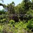  Land for sale in Puerto Princesa City, Mimaropa, Puerto Princesa City, Palawan, Mimaropa