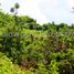  Land for sale in Puerto Princesa City, Mimaropa, Puerto Princesa City, Palawan, Mimaropa