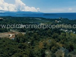  Land for sale in Puerto Princesa City, Mimaropa, Puerto Princesa City, Palawan, Mimaropa