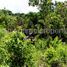  Land for sale in Puerto Princesa City, Mimaropa, Puerto Princesa City, Palawan, Mimaropa