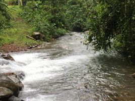  Land for sale in Pedro Vicente Maldonado, Pichincha, Pedro Vicente Maldonado, Pedro Vicente Maldonado