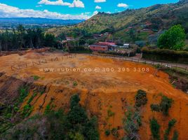  Terreno (Parcela) en venta en Guarne, Antioquia, Guarne