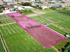  Land for sale in Denpasar, Bali, Denpasar Selata, Denpasar