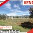  Land for sale in Palermo, Huila, Palermo